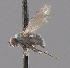  ( - CNC487157)  @12 [ ] No Rights Reserved (2016) Unspecified CNC