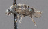  ( - CNC487160)  @12 [ ] No Rights Reserved (2016) Unspecified CNC