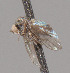  (Microphorella sp. 15 - CNC487266)  @12 [ ] CNC (2016) No Rights Reserved (nrr) scott.brooks@agr.gc.ca