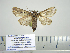  ( - BC-PTh0991)  @12 [ ] Copyright (2011) Paul Thiaucourt Research Collection of Paul Thiaucourt
