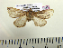  ( - BC-PTh1015)  @12 [ ] Copyright (2011) Paul Thiaucourt Research Collection of Paul Thiaucourt