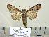  ( - BC-PTh1047)  @13 [ ] Copyright (2011) Paul Thiaucourt Research Collection of Paul Thiaucourt
