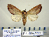  ( - Ed15-3-10 B2840-01)  @13 [ ] Copyright (2010) Unspecified Research Collection of Paul Thiaucourt