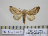  ( - Ed15-4-6 B2840-02)  @13 [ ] Copyright (2010) Unspecified Research Collection of Paul Thiaucourt