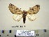  ( - Ed3-2-5 B2840-12)  @12 [ ] Copyright (2010) Unspecified Research Collection of Paul Thiaucourt
