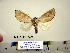  ( - Ed3-2-5 B2840-12)  @13 [ ] Copyright (2010) Unspecified Research Collection of Paul Thiaucourt
