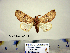  ( - Ed3-3-1 B2840-13)  @14 [ ] Copyright (2010) Unspecified Research Collection of Paul Thiaucourt