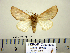  ( - Ed3-3-1 B2840-13)  @13 [ ] Copyright (2010) Unspecified Research Collection of Paul Thiaucourt