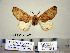  ( - Ed3-3-8 B2840-14)  @13 [ ] Copyright (2010) Unspecified Research Collection of Paul Thiaucourt