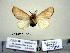  ( - Ed3-3-8 B2840-14)  @12 [ ] Copyright (2010) Unspecified Research Collection of Paul Thiaucourt