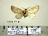  ( - Ed3-3-11 B2840-15)  @13 [ ] Copyright (2010) Unspecified Research Collection of Paul Thiaucourt
