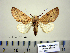  ( - Ed3-4-1 B2840-16)  @14 [ ] Copyright (2010) Unspecified Research Collection of Paul Thiaucourt