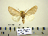  ( - Ed3-4-1 B2840-16)  @14 [ ] Copyright (2010) Unspecified Research Collection of Paul Thiaucourt