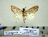  ( - Ed8-6b-7 B2840-56)  @12 [ ] Copyright (2010) Unspecified Research Collection of Paul Thiaucourt