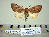  ( - Ed8-6b-8 B2840-57)  @12 [ ] Copyright (2010) Unspecified Research Collection of Paul Thiaucourt