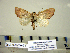  ( - Ed8-6b-8 B2840-57)  @12 [ ] Copyright (2010) Unspecified Research Collection of Paul Thiaucourt