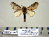  ( - Ad17-5-2 B2840-58)  @13 [ ] Copyright (2010) Unspecified Research Collection of Paul Thiaucourt