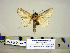  ( - Ad17-5-2 B2840-58)  @13 [ ] Copyright (2010) Unspecified Research Collection of Paul Thiaucourt