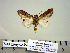  ( - Af9-7-14b B2840-66)  @13 [ ] Copyright (2010) Unspecified Research Collection of Paul Thiaucourt