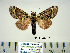  ( - Bb8-7-7 B2840-71)  @11 [ ] Copyright (2010) Unspecified Research Collection of Paul Thiaucourt