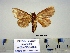  ( - Bb8-8-6 B2840-72)  @13 [ ] Copyright (2010) Unspecified Research Collection of Paul Thiaucourt