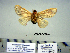  ( - Bb8-3-5 B2840-73)  @13 [ ] Copyright (2010) Unspecified Research Collection of Paul Thiaucourt