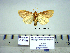  ( - Af15-4-9 B2840-76)  @13 [ ] Copyright (2010) Unspecified Research Collection of Paul Thiaucourt