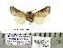  ( - Db10-5-8 B2840-85)  @11 [ ] Copyright (2010) Unspecified Research Collection of Paul Thiaucourt