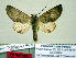  ( - Ed3-7-2 B2840-44b)  @13 [ ] Copyright (2010) Unspecified Research Collection of Paul Thiaucourt
