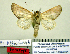  ( - Ed3-7-2 B2840-44b)  @13 [ ] Copyright (2010) Unspecified Research Collection of Paul Thiaucourt