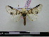  ( - BC-PTh0031)  @13 [ ] Copyright (2010) Unspecified Research Collection of Paul Thiaucourt