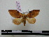 ( - BC-PTh0061)  @13 [ ] Copyright (2010) Unspecified Research Collection of Paul Thiaucourt