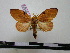  ( - BC-PTh0062)  @13 [ ] Copyright (2010) Unspecified Research Collection of Paul Thiaucourt