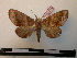  ( - BC-PTh0074)  @13 [ ] Copyright (2010) Unspecified Research Collection of Paul Thiaucourt