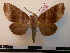  ( - BC-PTh0075)  @13 [ ] Copyright (2010) Unspecified Research Collection of Paul Thiaucourt