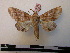  ( - BC-PTh0077)  @13 [ ] Copyright (2010) Unspecified Research Collection of Paul Thiaucourt