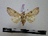  ( - BC-PTh0086)  @12 [ ] Copyright (2010) Unspecified Research Collection of Paul Thiaucourt