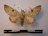  ( - BC-PTh0093)  @14 [ ] Copyright (2010) Unspecified Research Collection of Paul Thiaucourt