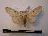  ( - BC-PTh0094)  @13 [ ] Copyright (2010) Unspecified Research Collection of Paul Thiaucourt