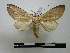  ( - BC-PTh0101)  @11 [ ] Copyright (2010) Unspecified Research Collection of Paul Thiaucourt