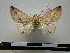  ( - BC-PTh0111)  @13 [ ] Copyright (2010) Unspecified Research Collection of Paul Thiaucourt