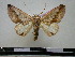  ( - BC-PTh0112)  @13 [ ] Copyright (2010) Unspecified Research Collection of Paul Thiaucourt