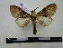  ( - BC-PTh0158)  @14 [ ] Copyright (2010) Unspecified Research Collection of Paul Thiaucourt
