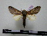  ( - BC-PTh0206)  @14 [ ] Copyright (2010) Unspecified Research Collection of Paul Thiaucourt