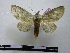  ( - BC-PTh0247)  @14 [ ] Copyright (2010) Unspecified Research Collection of Paul Thiaucourt