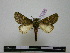  ( - BC-PTh0255)  @13 [ ] Copyright (2010) Unspecified Research Collection of Paul Thiaucourt