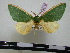  ( - BC-PTh0270)  @13 [ ] Copyright (2010) Unspecified Research Collection of Paul Thiaucourt