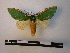  ( - BC-PTh0276)  @11 [ ] Copyright (2010) Unspecified Research Collection of Paul Thiaucourt