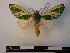  ( - BC-PTh0279)  @13 [ ] Copyright (2010) Unspecified Research Collection of Paul Thiaucourt
