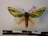  ( - BC-PTh0280)  @11 [ ] Copyright (2010) Unspecified Research Collection of Paul Thiaucourt